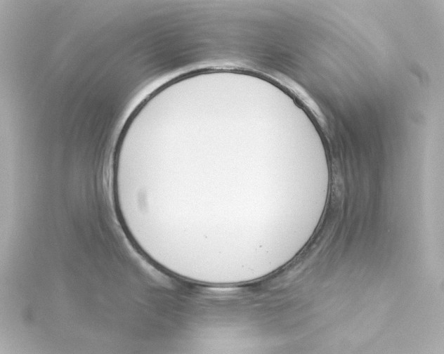 X0000115251343200911271856