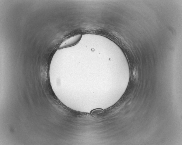 X0000115251348200911271856