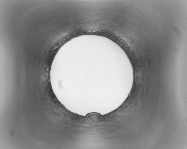 X0000115251349200911271856