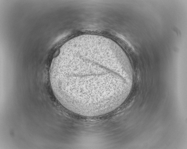 X0000115251350200911271856