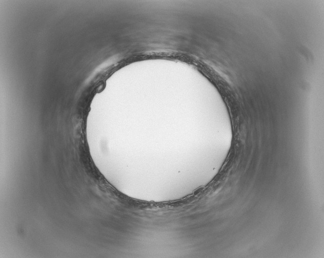 X0000115251351200911271856