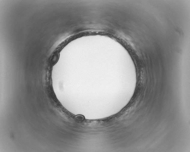 X0000115251352200911271856