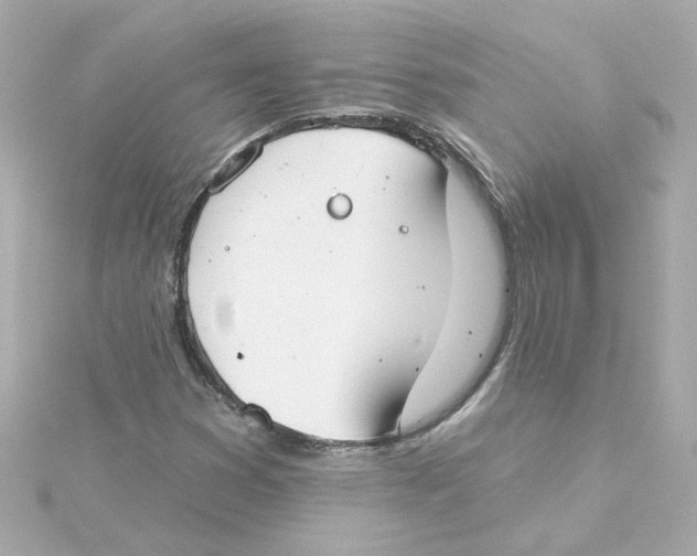 X0000115251353200911271856