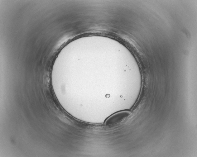 X0000115251355200911271856