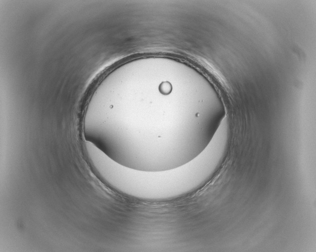 X0000115251356200911271856