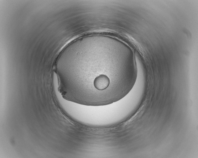 X0000115251361200911271856