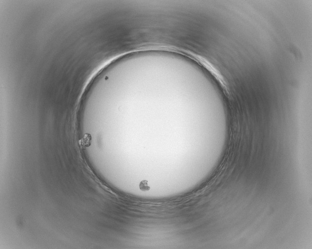 X0000115251364200911271856