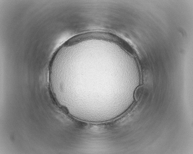 X0000115251365200911271856