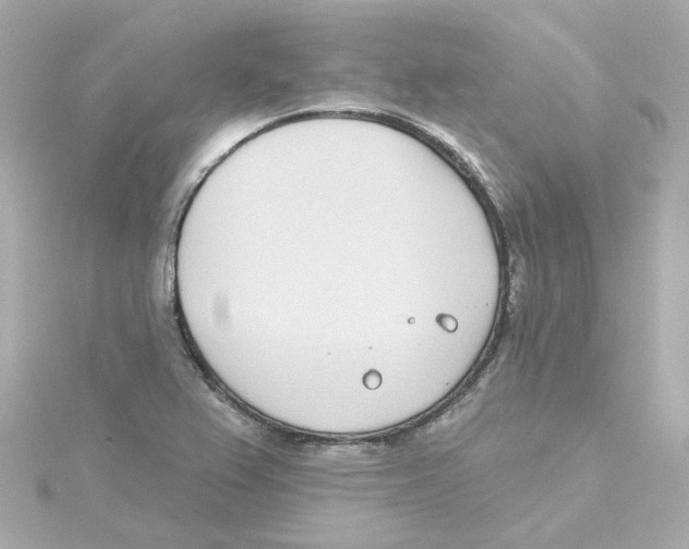 X0000115251367200911271855