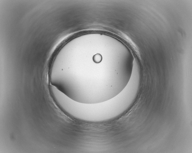 X0000115251368200911271855