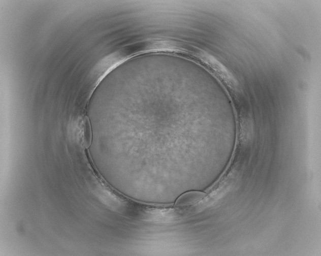 X0000115251369200911271855