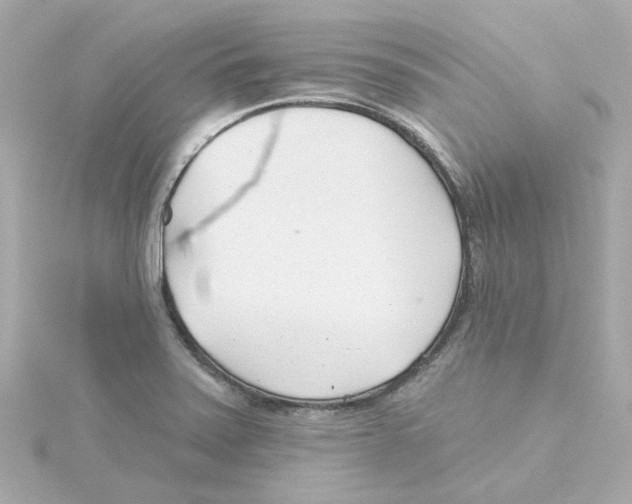 X0000115251371200911271855