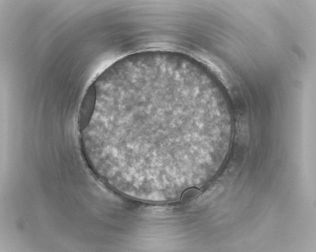 X0000115251373200911271855