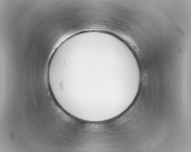 X0000115251374200911271855