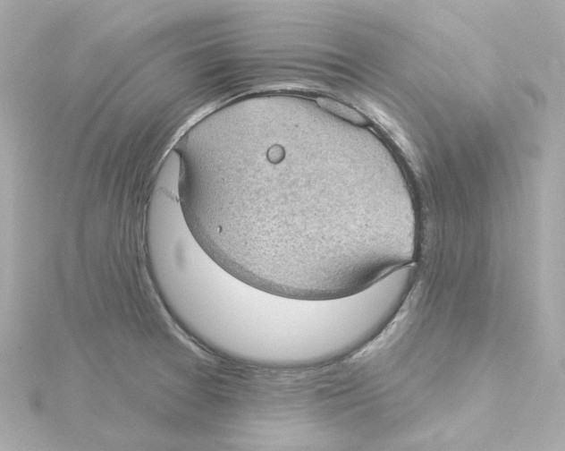 X0000115251377200911271855