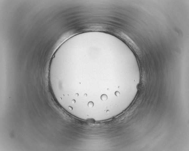 X0000115251378200911271855