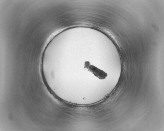 X0000115251379200911271855