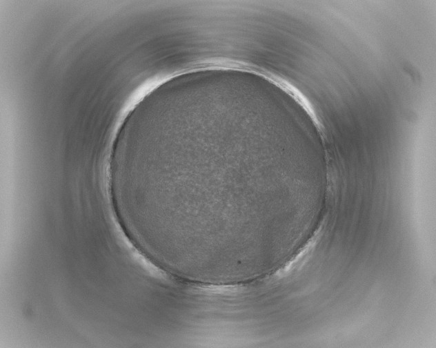 X0000115251381200911271855