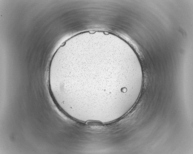 X0000115251383200911271855