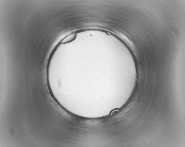 X0000115251384200911271855