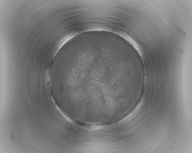 X0000115251385200911271855