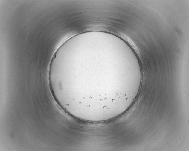 X0000115251386200911271855