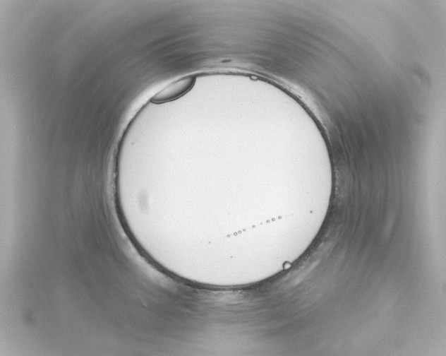 X0000115251387200911271855