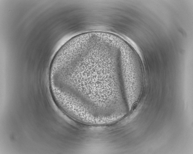 X0000115251389200911271855