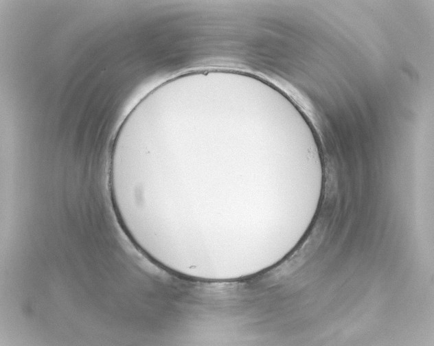 X0000115251390200911271855