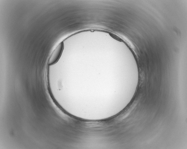 X0000115251391200911271855