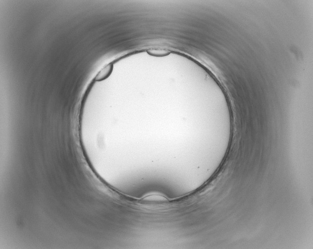 X0000115251392200911271855