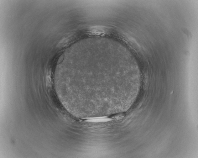 X0000115251394200911271854