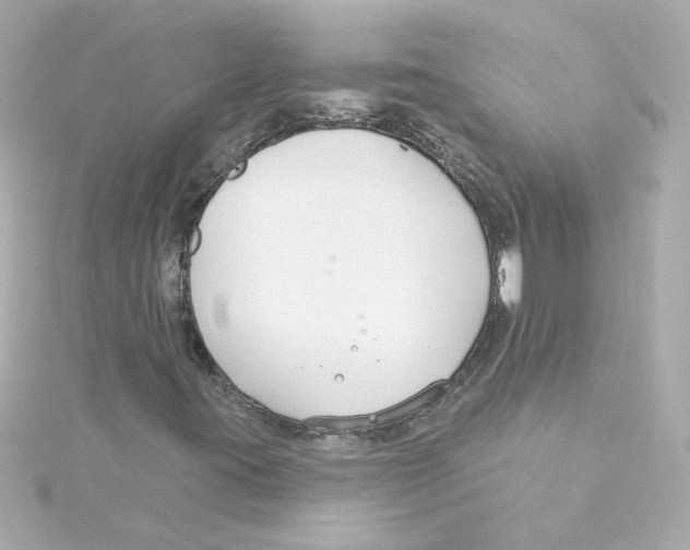 X0000115251395200911271854