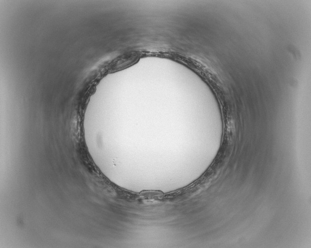 X0000115251398200911271854