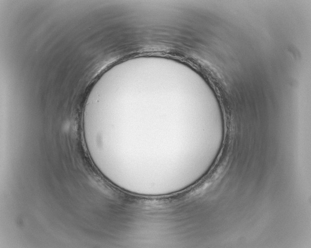 X0000115251401200911271854