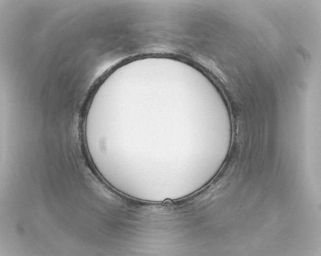 X0000115251404200911271855