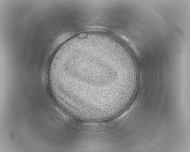 X0000115251405200911271855