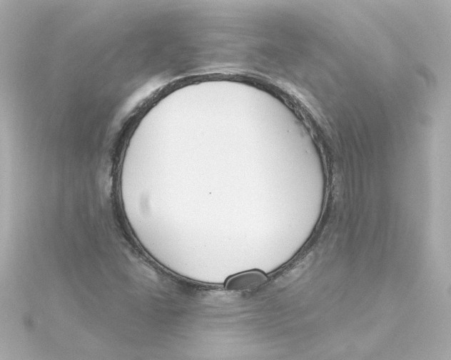 X0000115251406200911271855