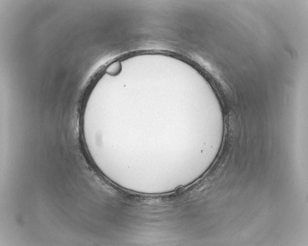 X0000115251408200911271855