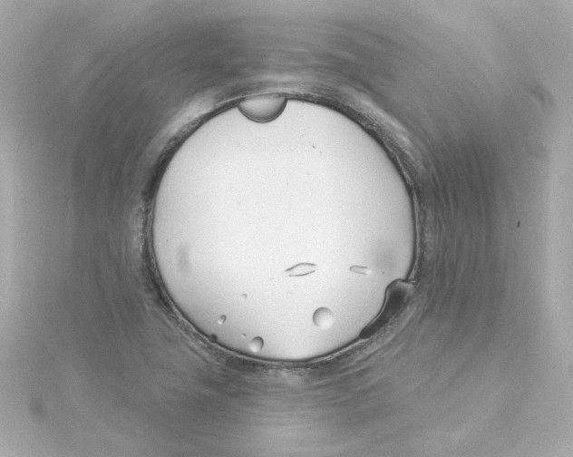 X0000115251411200911271855