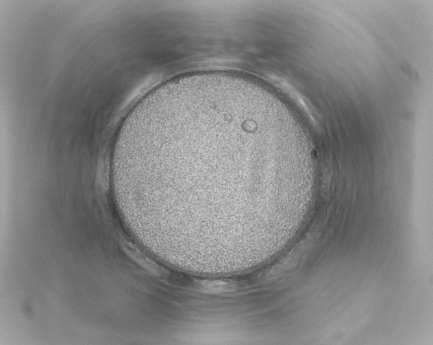 X0000115251413200911271855