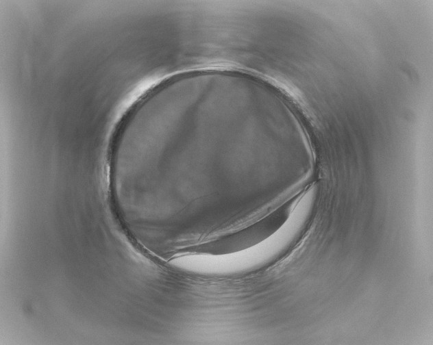 X0000115251414200911271855