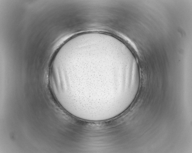 X0000115251415200911271855