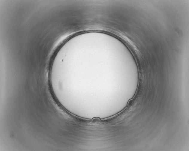 X0000115251416200911271855