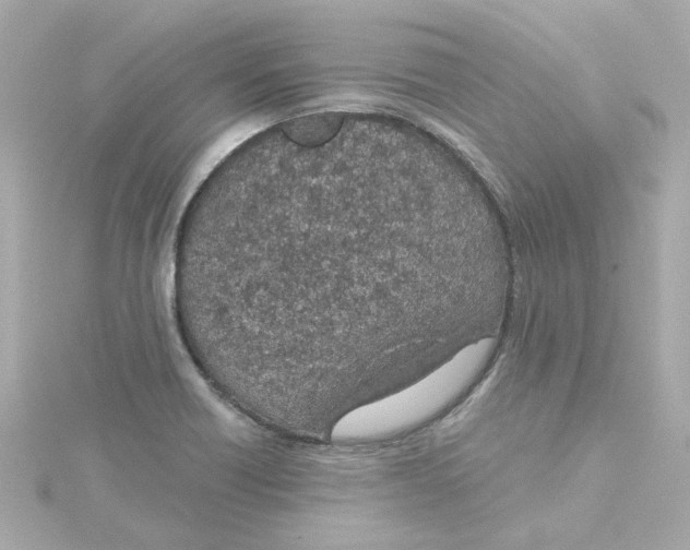 X0000115251418200911271855