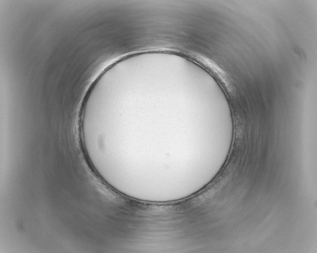 X0000115251423200911271855