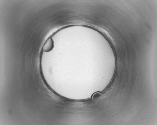 X0000115251424200911271855