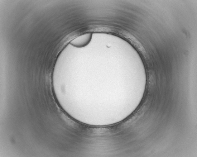 X0000115251425200911271855