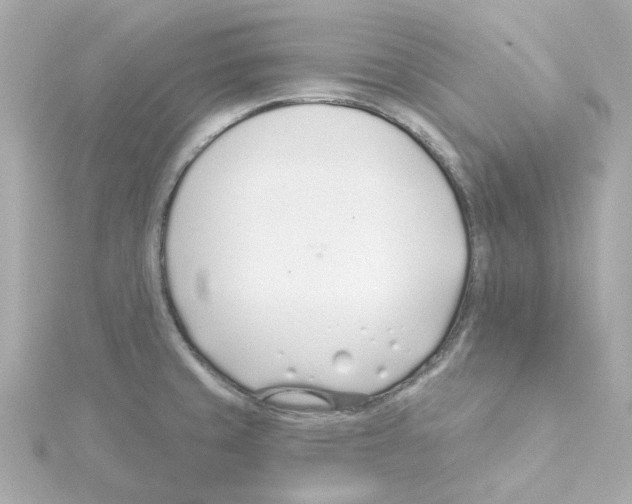 X0000115251429200911271855