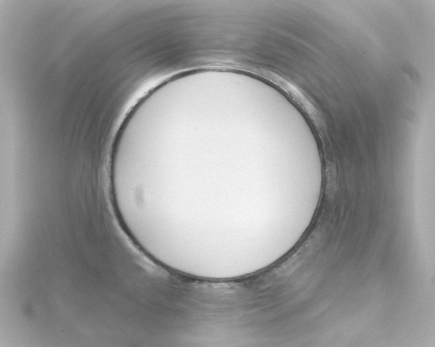 X0000115251432200911271855